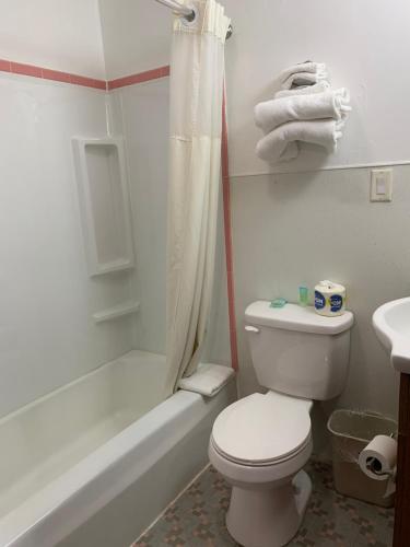 a bathroom with a toilet and a tub and a sink at Budget Inn in Belle Vernon