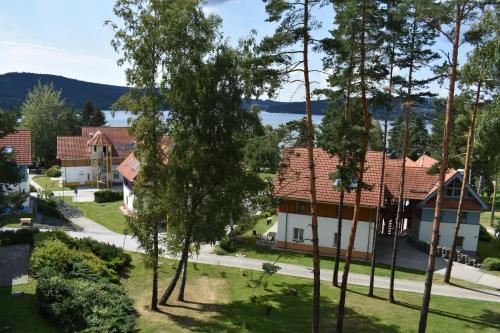 an aerial view of a house with trees at Riviéra Lipno 510/17 in Lipno nad Vltavou
