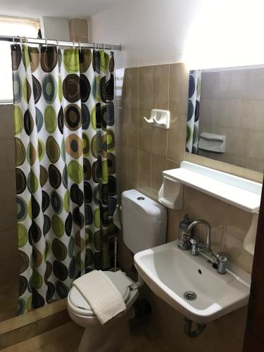 a bathroom with a toilet and a sink and a shower curtain at ΠΕΝΥ ΚΑΝΤΙΑ 1ος Ν 5 in Kandia