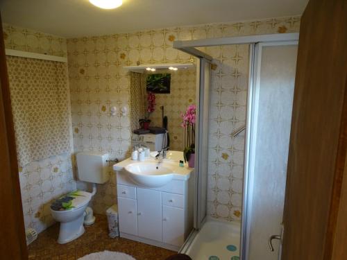 a bathroom with a sink and a toilet and a shower at Ferienwohnung Anna in Inzell