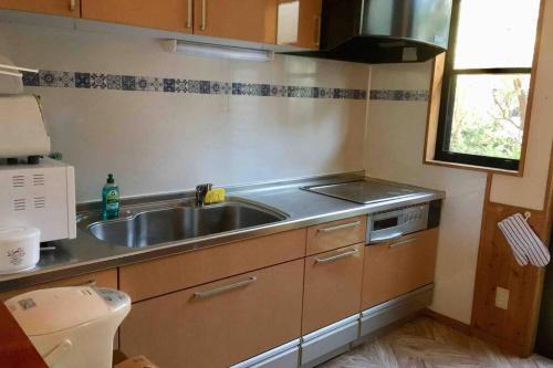 a small kitchen with a sink and a stove at 屋久島シエスタYakushima Entire house with a wonderful view in Yakushima