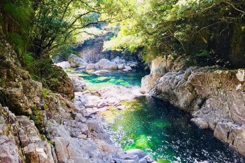 a river with green water in a rocky canyon at 屋久島シエスタYakushima Entire house with a wonderful view in Yakushima