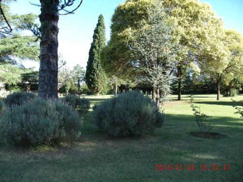 Jardín al aire libre en Hotel de Campo Posada la Esperanza