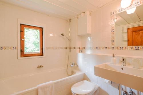 a bathroom with a toilet and a sink and a tub at Schlierseehaus in Schliersee