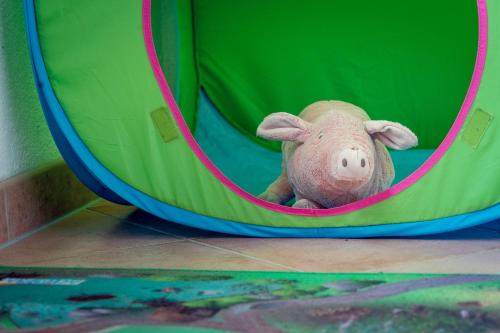 a stuffed pig sticking its head out of a tunnel at Haus Stangl in Bad Aussee