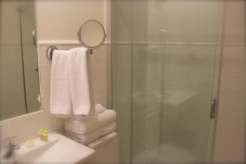 uma casa de banho com um chuveiro, um lavatório e um espelho. em Casa Urbana Adolfo em Toledo