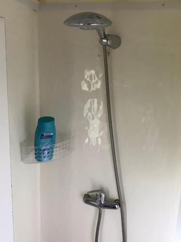 a bathroom shower with a shower head and a sink at Evenrust, gelegen nabij het Pieterpad in Coevorden