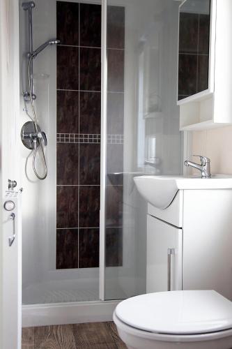 a bathroom with a shower and a toilet and a sink at Beach Chalet Tranquilo in Petten