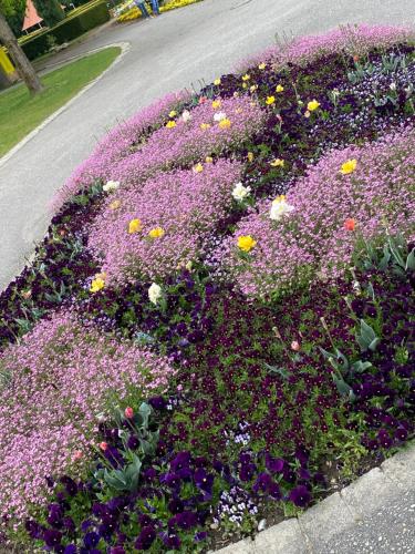 a bed of flowers in the middle of a street at Appartementhof Stadler in Pocking