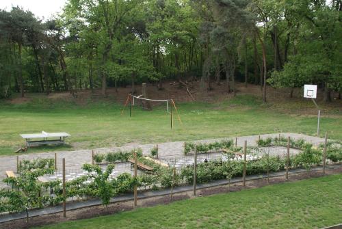 a park with a playground and a swing at Vakantieboerderij 't Zand - Appartement in Heeswijk-Dinther