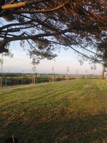 a field with trees in the distance at La Gourgasse Vieille in Béziers