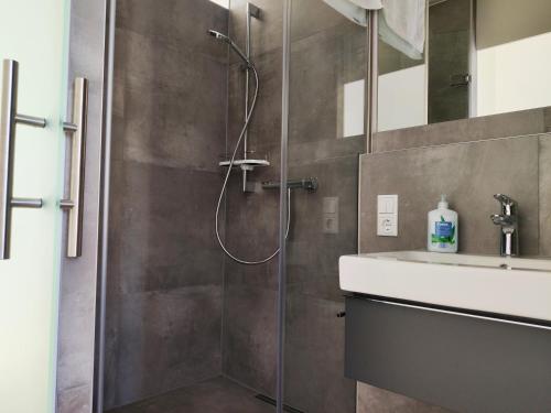 a bathroom with a shower and a sink at Modern ausgebauter Überseecontainer als Tiny House in Wertheim