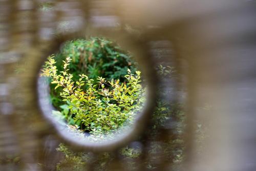 a reflection of a plant in a mirror at Maison Ailleurs in Chartres