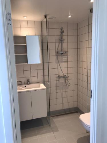 a bathroom with a shower and a sink and a toilet at Amager Studio in Copenhagen