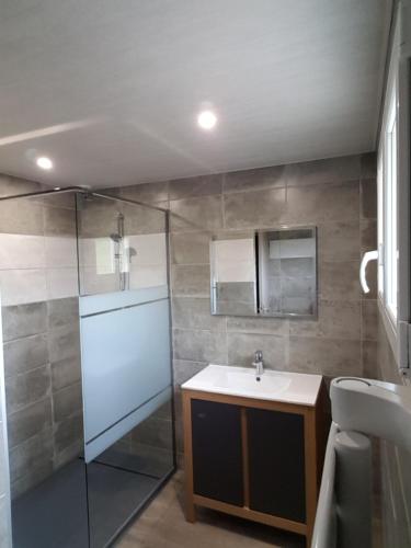 een badkamer met een wastafel en een douche bij Le Côte d'Albâtre in Tourville-la-Chapelle