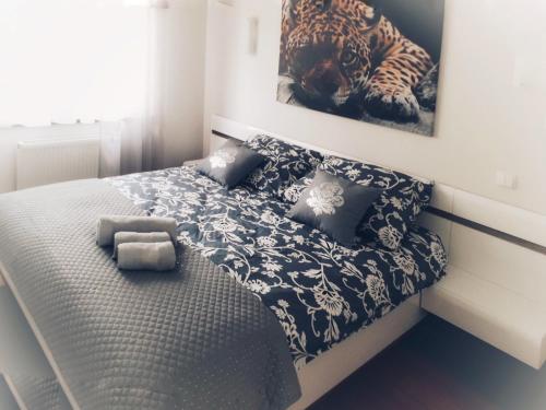 Fotografia z galérie ubytovania Apartament Słoneczny v destinácii Ełk