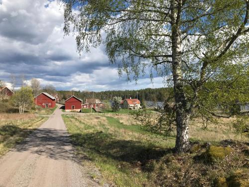 a dirt road in a field with a tree and houses at Vimmerby Lilla utsikten in Tuna