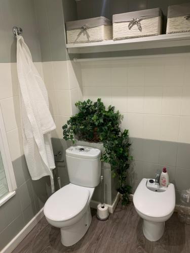 a bathroom with a toilet and a potted plant at Apartamento primera línea de playa in Port Saplaya