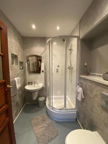 a bathroom with a shower and a toilet and a sink at Zagroda AlpakoTerapii in Świeradów-Zdrój