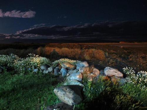 Foto de la galería de Hostel Aves del Lago en El Calafate