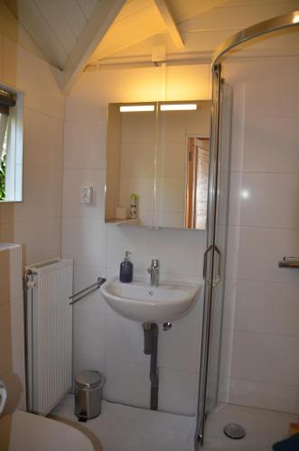 a bathroom with a sink and a shower at Chalet t Kla-viertje in Klarenbeek