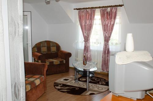 un salon avec une chaise et une table dans l'établissement Pensiunea Aly, à Bumbesti Pitic