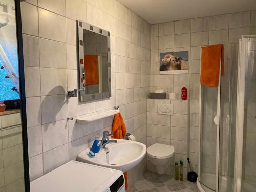 a bathroom with a sink and a toilet and a mirror at Nordseevilla Jade in Schweiburg