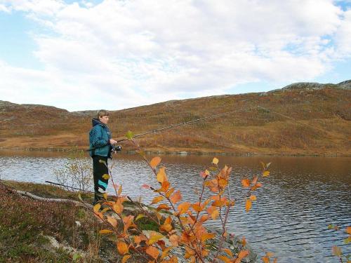 un uomo in piedi accanto a un lago con una canna da pesca di Holiday home Skorovatn a Skorovatn
