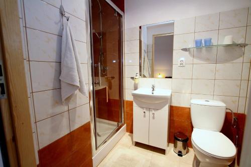 a bathroom with a toilet and a shower and a sink at Siwejka - Ropki - Beskid Niski in Ropki
