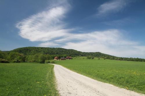 a dirt road in the middle of a green field at Siwejka - Ropki - Beskid Niski in Ropki