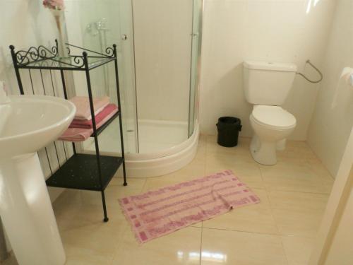 La salle de bains est pourvue d'une douche, d'un lavabo et de toilettes. dans l'établissement B & B Villa Calliandra, à Bijilo