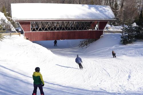 Long Trail House Condominiums at Stratton Mountain Resort v zimě