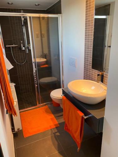 een badkamer met een wastafel, een toilet en een douche bij Leen & Bruno's NamaStay in Grez-Doiceau