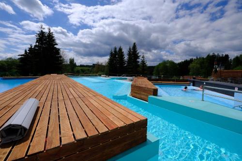 Πισίνα στο ή κοντά στο Lipno Wellness - Frymburk C 401