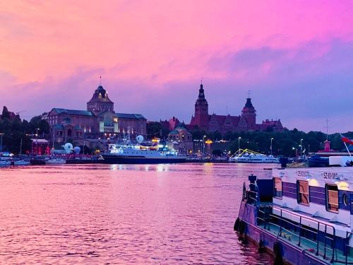 a view of a river with a city in the background at Apartament Oliwia in Szczecin