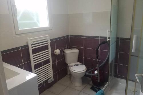 a small bathroom with a toilet and a shower at Les Echappées Belles - Studio entre océan et forêt in Labenne