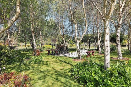 a park with benches and trees in the grass at Tree Elle Retreat in Bow Bridge