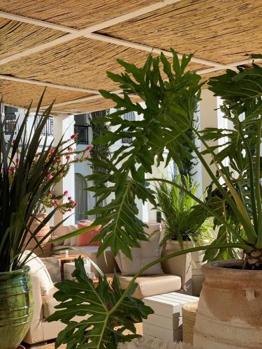 a group of plants in pots on a patio at Marina Smir Hotel & Spa in M'diq