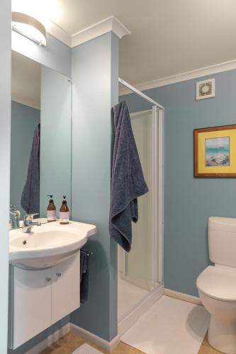 a bathroom with a sink and a toilet at Blue moon in Collingwood