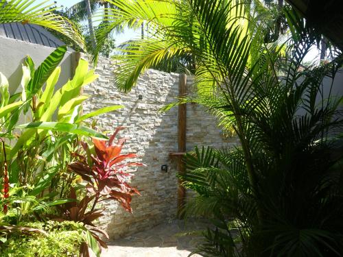 a garden with palm trees and a stone wall at Paradise Cove Resort in Naukacuvu Island