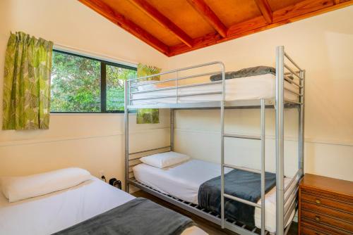 two bunk beds in a room with a window at Anglers Lodge in Coromandel Town
