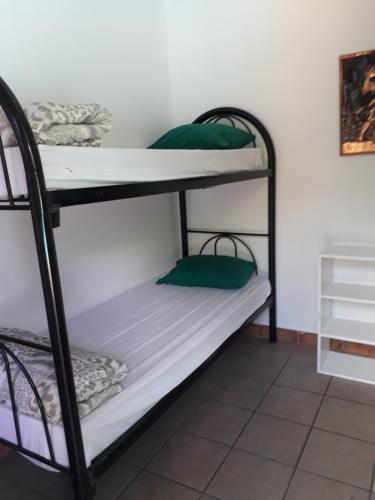 Bunk bed o mga bunk bed sa kuwarto sa Johannesburg Youth Hostel