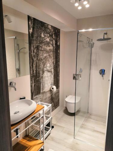 a bathroom with a shower and a sink and a toilet at U Lotnika in Szlachtowa