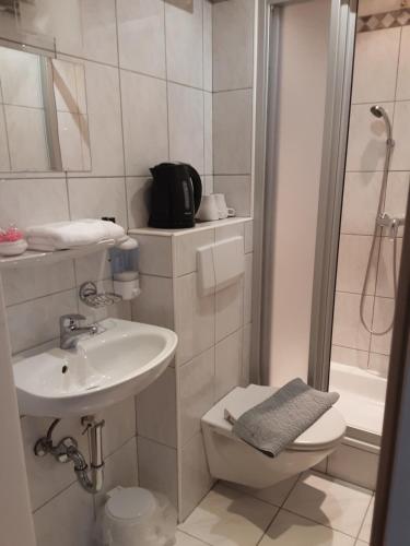 a bathroom with a sink and a toilet and a shower at Apartment House Seerose in Obertraun