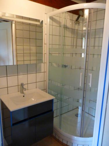 une salle de bain avec un lavabo et une douche en verre dans l'établissement La grange, à Grancey-le-Château