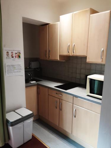 A kitchen or kitchenette at Apartment House Seerose