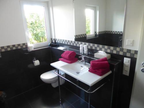 W łazience znajduje się umywalka oraz toaleta z czerwonymi ręcznikami. w obiekcie Rheinblick Résidence w mieście Tägerwilen