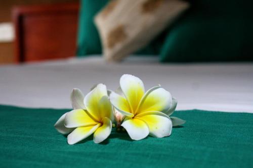 two yellow and white flowers sitting on a green table at Yala Beddegama Eco in Kataragama