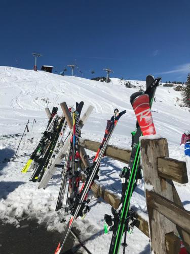 a group of skis and snowboards are lined up in the snow at Chez Gaby 1670 in Champoussin