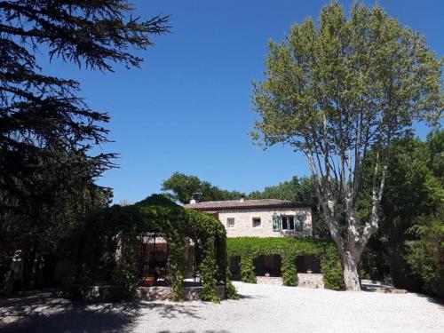Mas de l'ile photo 20